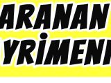 Gayrimenkul Danışmanı